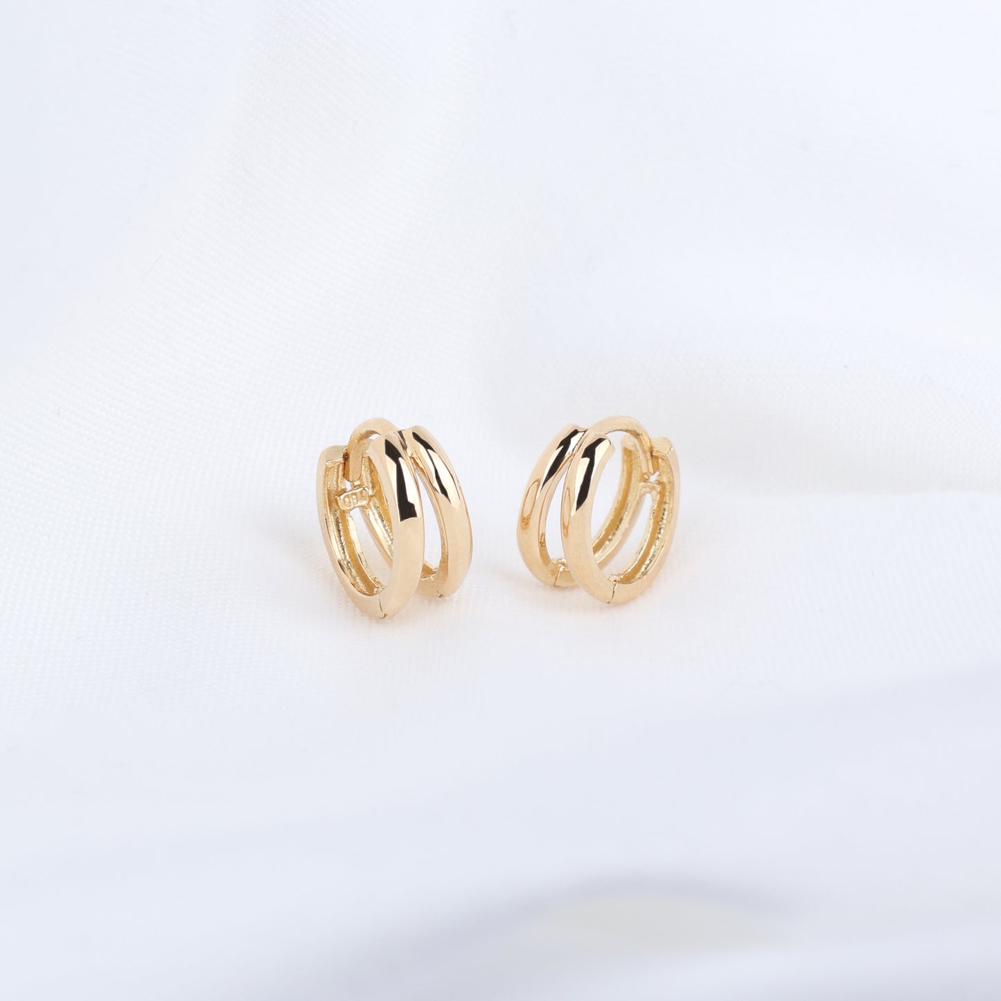 Double Loop Hoop Earrings