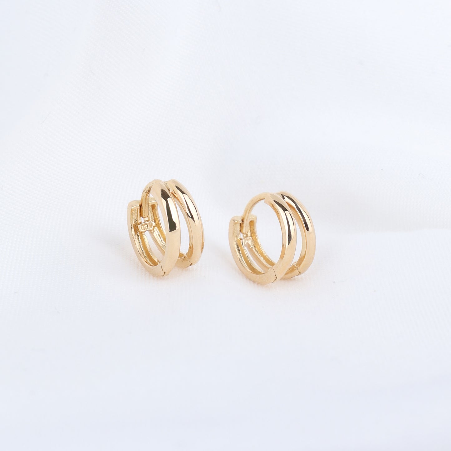 Double Loop Hoop Earrings