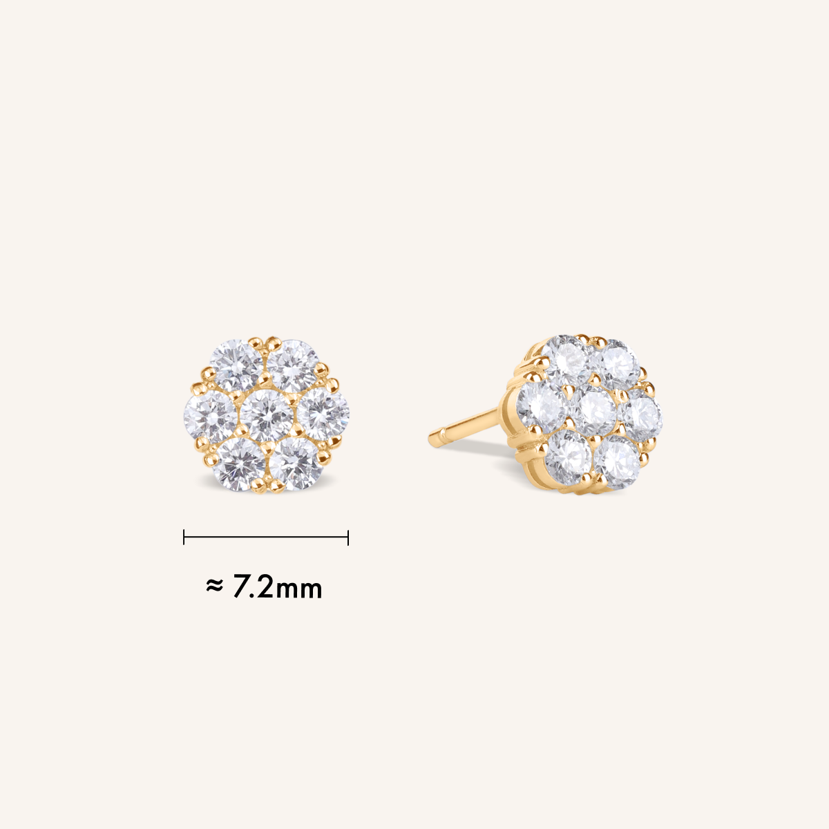Hwaon Stud Earrings